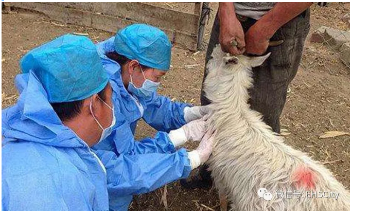 1604374059734796.png image.png