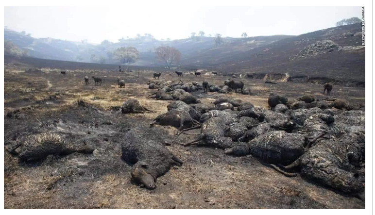 1609319613438333.png 圖片.png