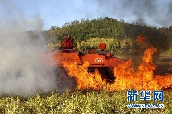 【動畫】森林草原防火“十不準”“五不燒”！這些安全知識要牢記