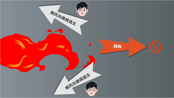 【動畫】森林草原防火“十不準”“五不燒”！這些安全知識要牢記